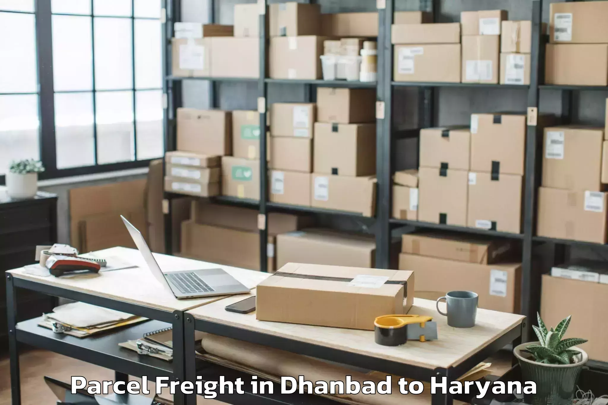 Quality Dhanbad to Hissar Airport Hss Parcel Freight